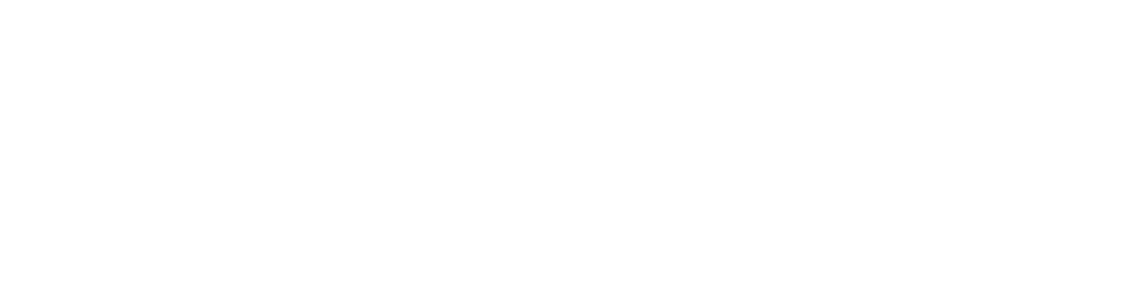 Reliance Fund